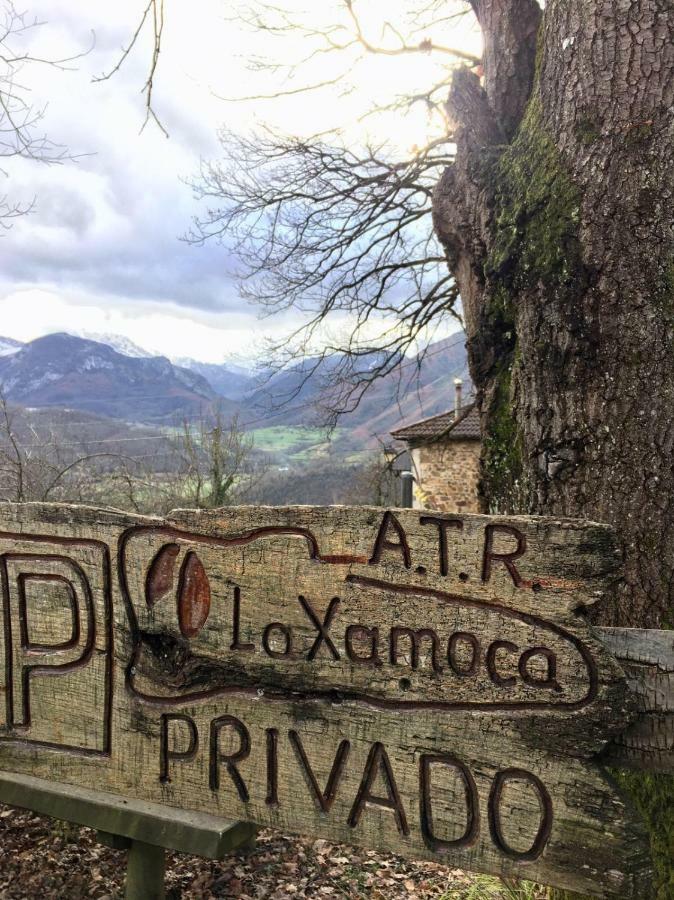 La Xamoca Apartamentos Rurales Campiellos Bagian luar foto