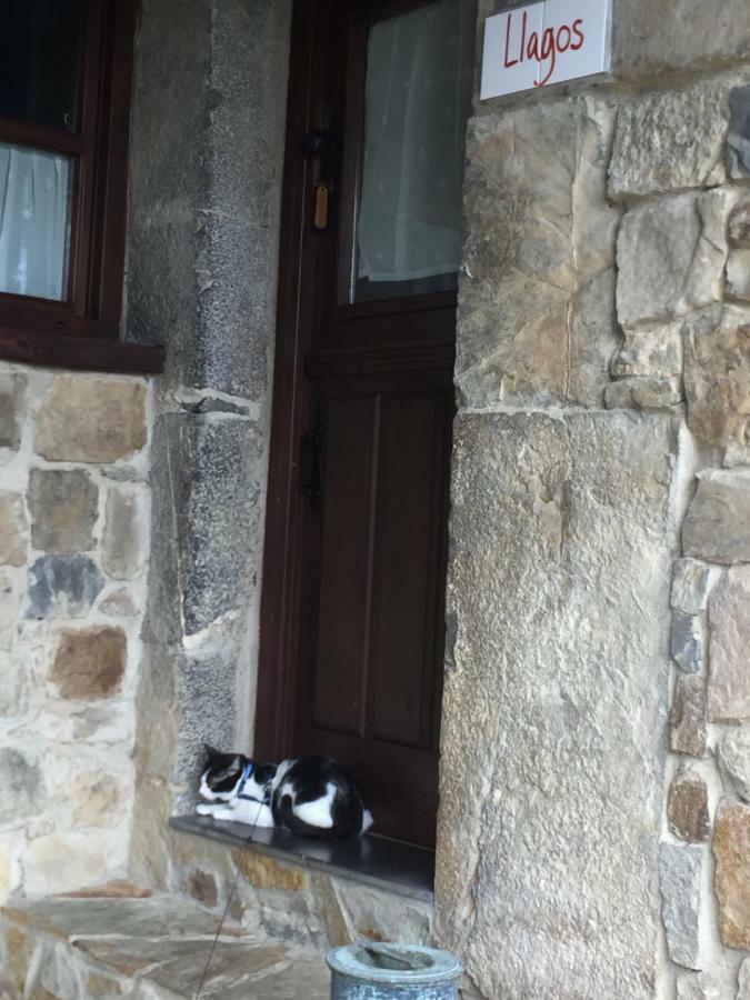 La Xamoca Apartamentos Rurales Campiellos Bagian luar foto